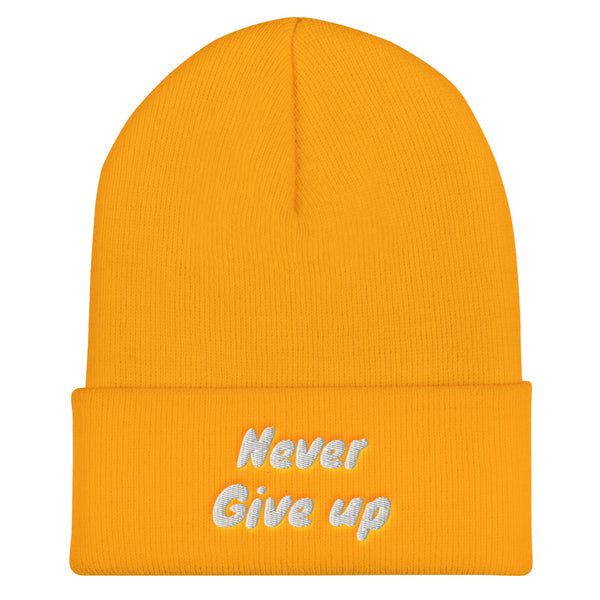 Cuffed Beanie